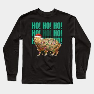 Capybara  HO HO HO ! and christmas lights, Capybara Pets, Cute capybara Long Sleeve T-Shirt